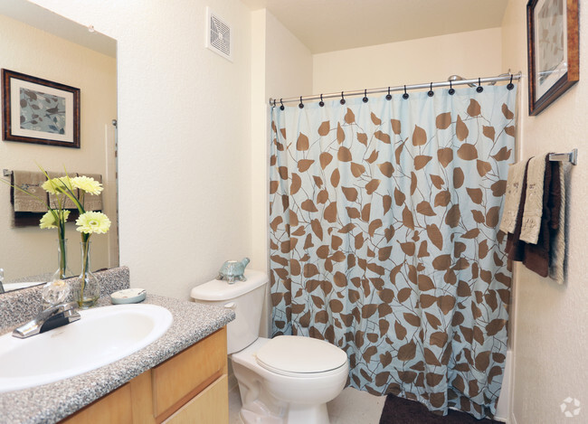 3 BD 2 BA Bathroom - Hawk's Landing Apartments