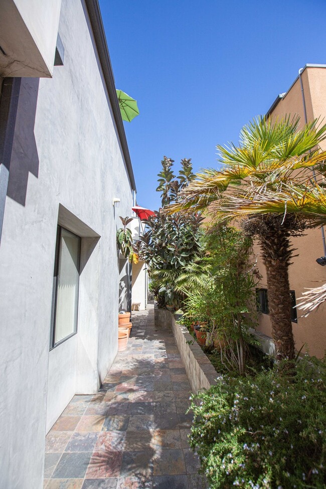 Walkway to back corner unit C - 1437 16th St