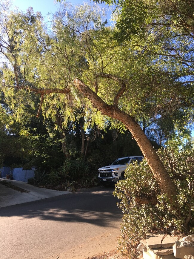 Driveway - 1708 Upperton Ave