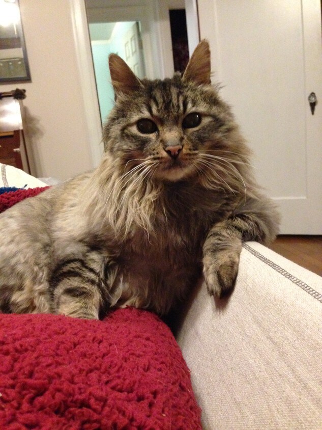 Tabor East Apartments Portland, OR