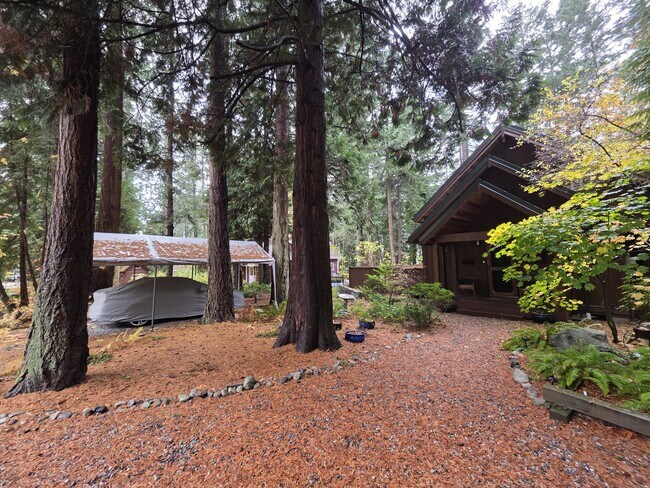 Foto del edificio - 713 Claire Ln