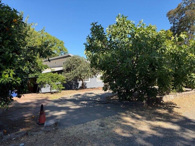 Foto del edificio - Clean 1500 Sqft. 3 Bedroom 2 Bath Carmichael Home for Rent.
