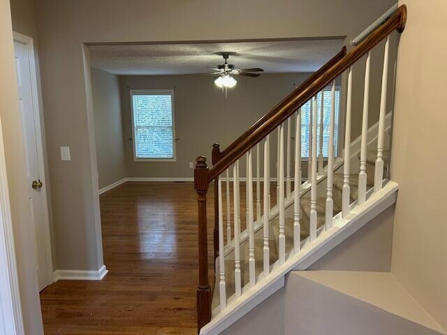 Foto del edificio - 3096 Roundway Down Ln