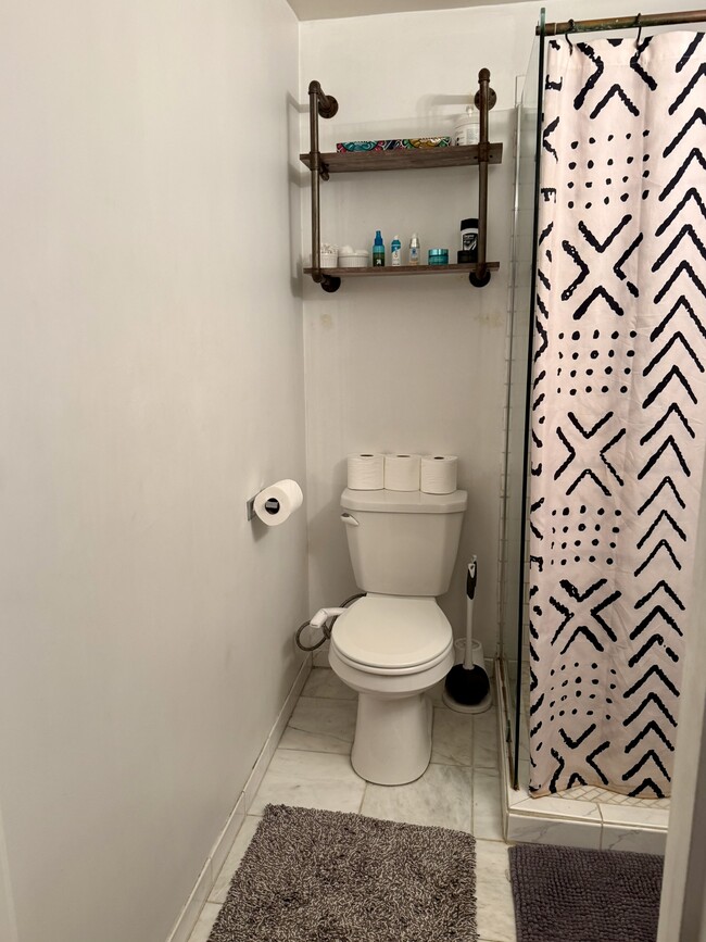 Unit 4 Bathroom - Grand Victoria Flats