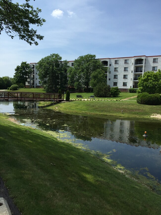 Foto del edificio - 475 Plum Creek Dr
