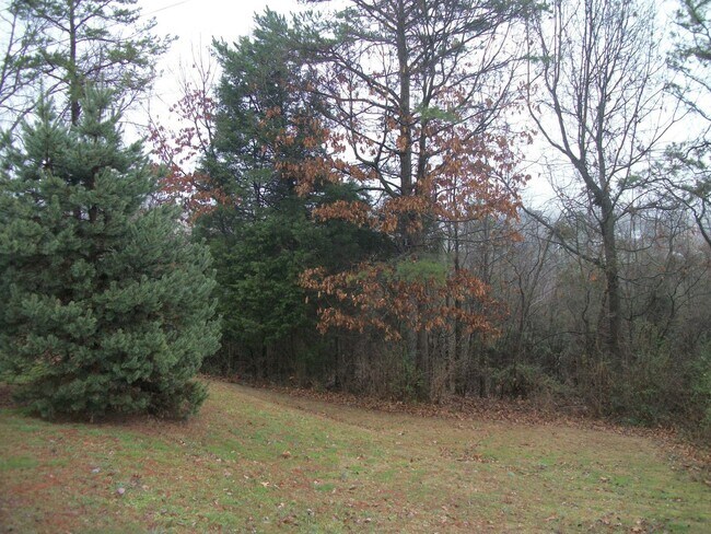 Building Photo - Beautiful 3 bedroom 2 bath single family h...
