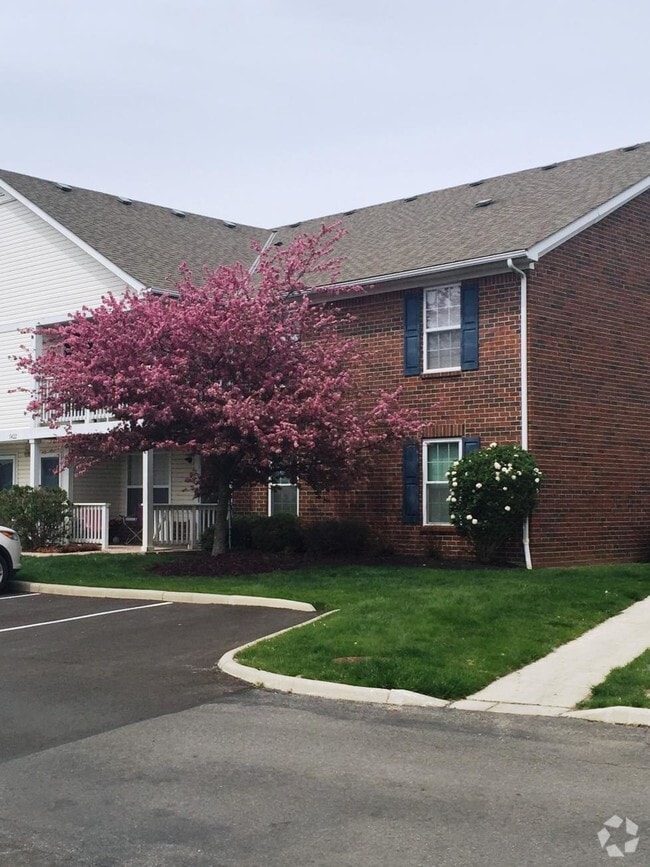 Chesapeake South Houses for Rent with a Swimming Pool Columbus, OH