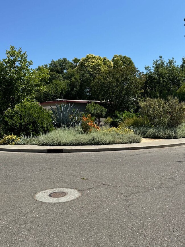 Building Photo - WELL MAINTAINED SINGLE STORY HOME WITH SOL...