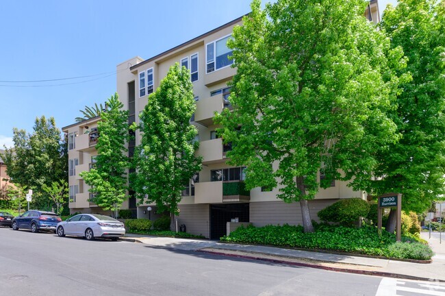 Apartments for Rent in Piedmont CA | Apartments.com