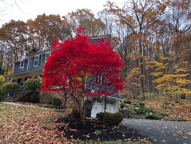 Foto del edificio - 67 Frog Hollow Rd