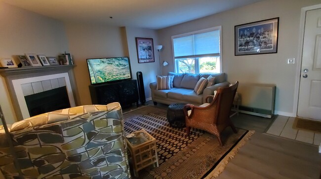 Comfortable and cozy living room - 42 Pine Hill Dr