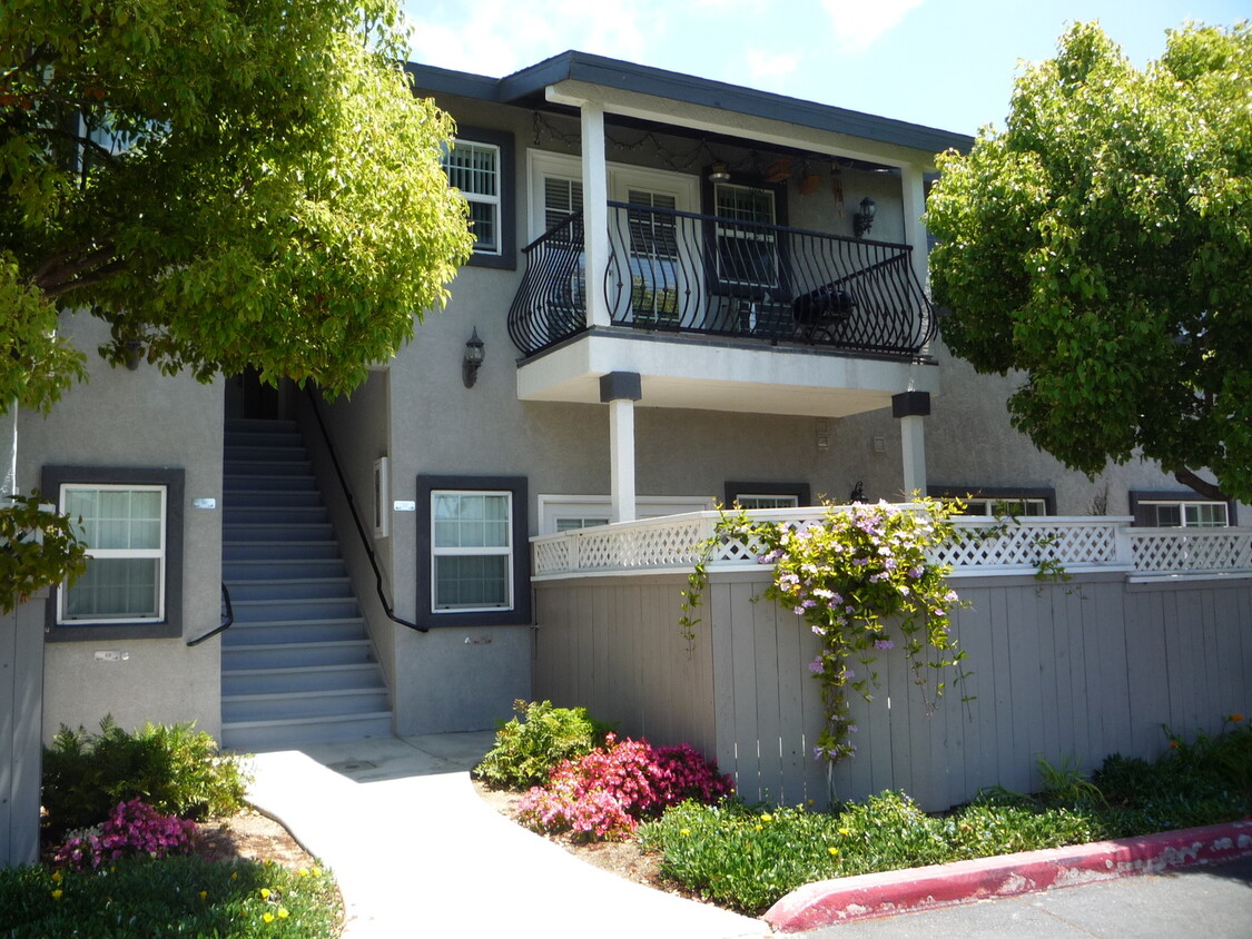 Primary Photo - Spacious and Bright Oceanside Condo