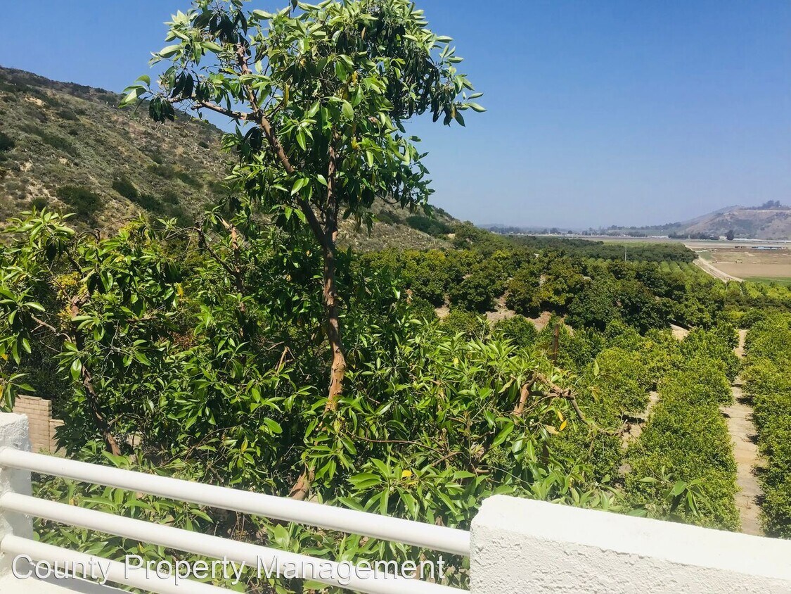 Foto principal - 2 br, 2 bath House - 2803 Antonio Ave #301