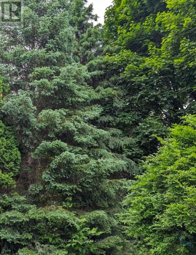 Building Photo - 11 Ingleview Dr