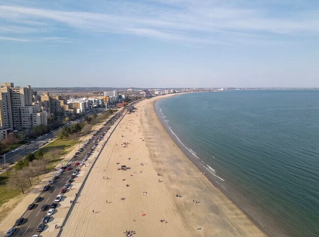 Photo - 67 Curtis Rd Apartment