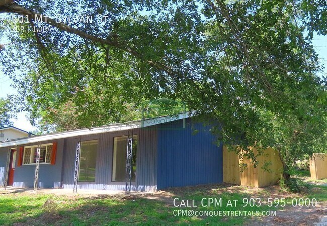 Building Photo - 501 Mt Sylvan St