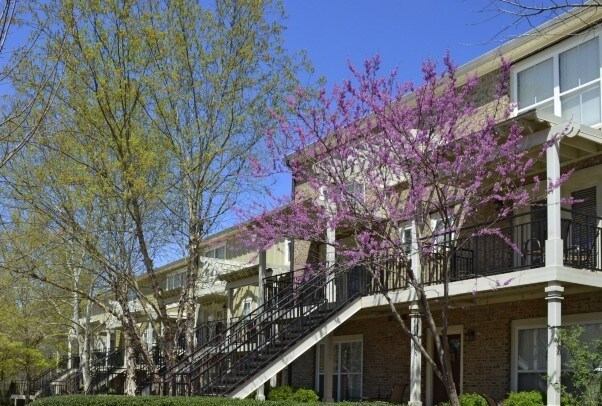 Foto del edificio - The Woodlands of Athens