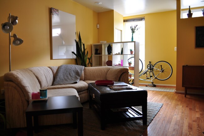 Living - 123 Scott St