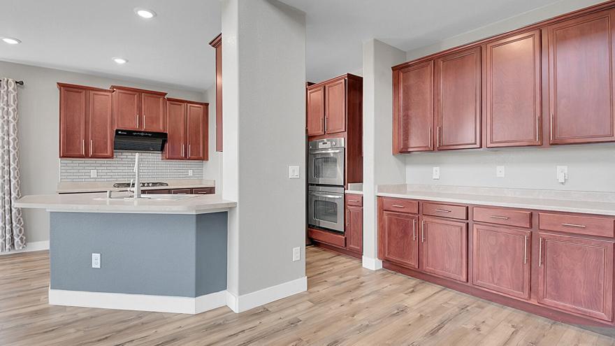 Photo - 17021 White Alba Ln (Parker, CO)