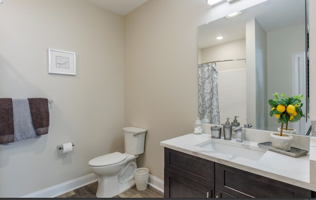 Foto del edificio - Luxury 1- & 2-Bedroom Apartments in Paramu...