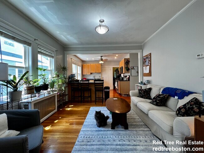 Foto del edificio - 24 Adair Rd