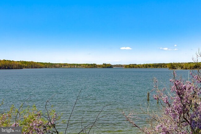 Foto del edificio - 19479 N Snow Hill Manor Rd