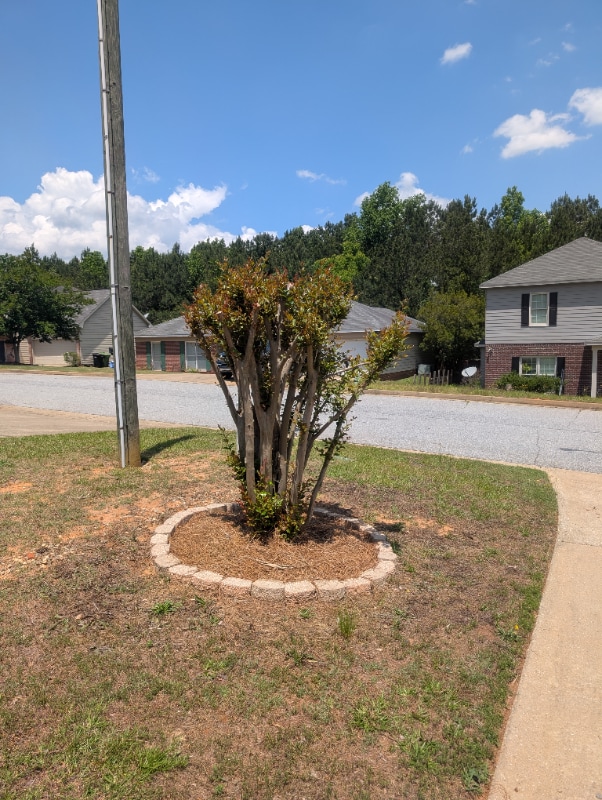 Building Photo - 1341 Bunker Ridge Ln