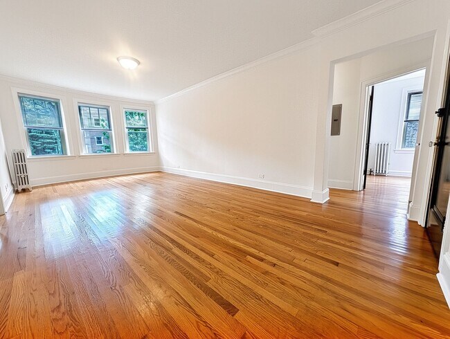 Foto del edificio - Bright and Sunny Updated 3-bed/1-bath near Loyola