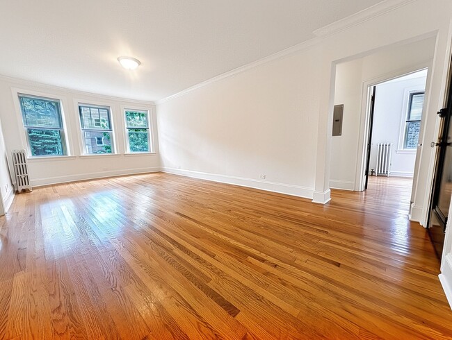 Building Photo - Bright and Sunny Updated 3-bed/1-bath near Loyola