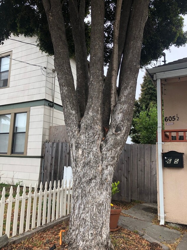 Primary Photo - 605 Seabright Ave