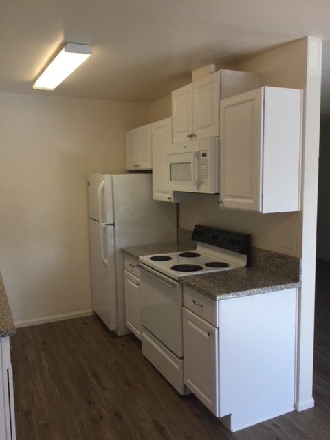 Newly Renovated Floorplans - Pine View Apartments