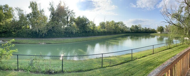 Backyard view - 6323 Winslow Dr