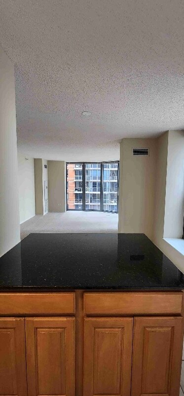 Building Photo - 420 East South Water Street
