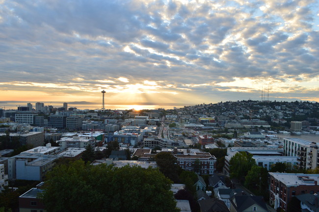365 days of views - 601 Belmont Ave E