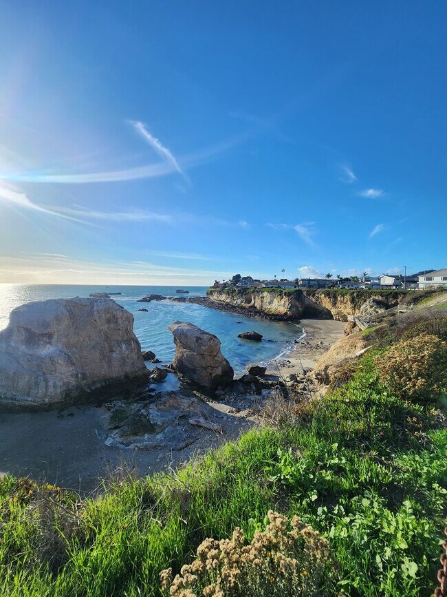 Foto del edificio - Retro Style Beach Apartment- Water Included!