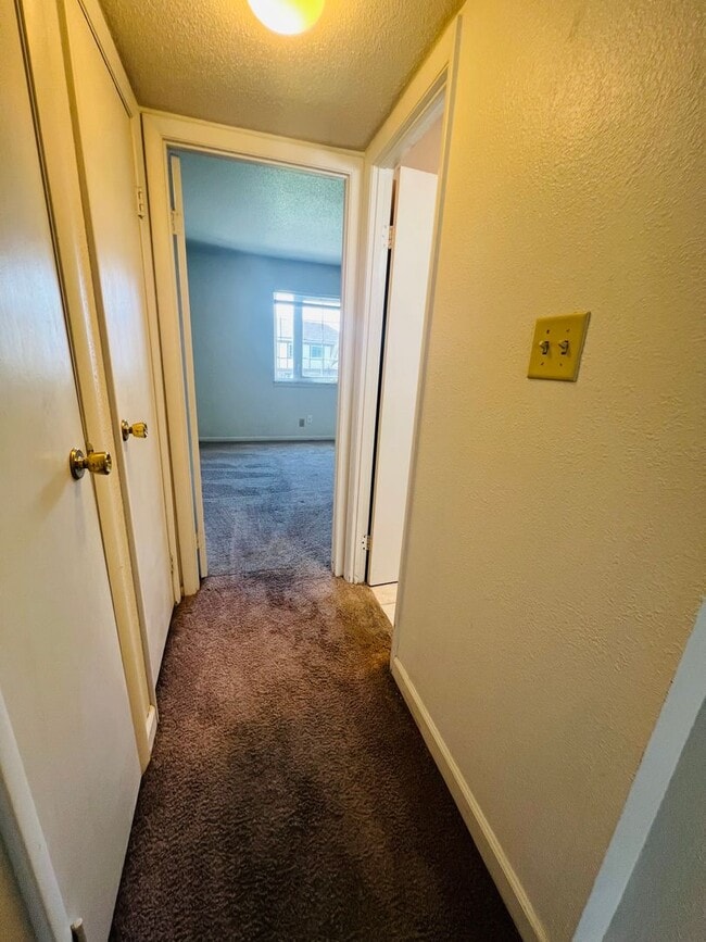Building Photo - Spacious 1 Bedroom 1 Bath in the heart of Coralville!