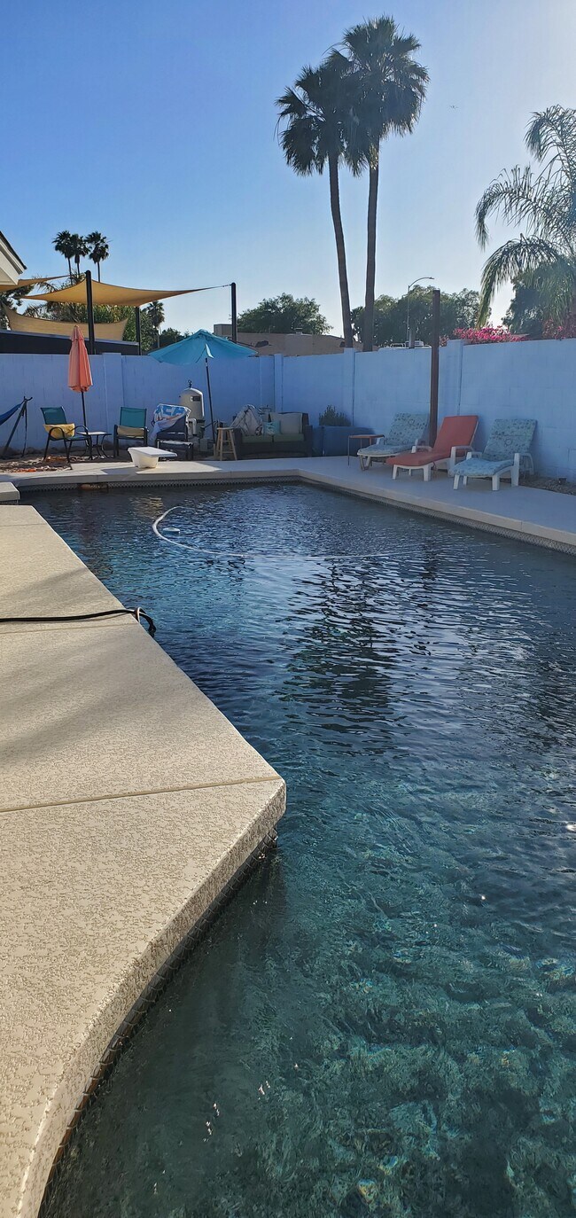 Foto del edificio - 1646 N Chestnut Cir