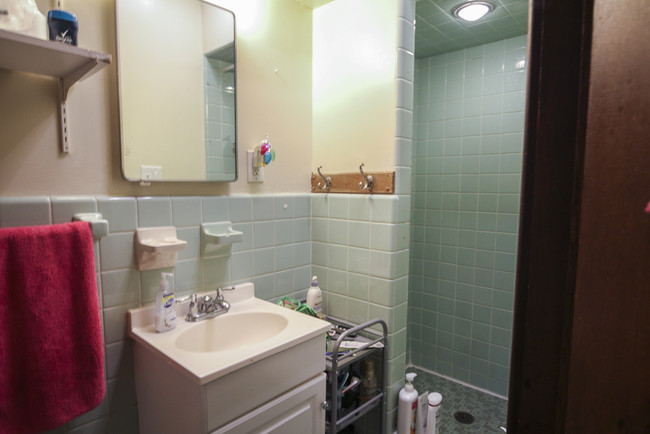 1st Floor Bathroom - 213 N Division St