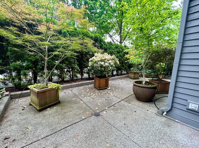 Foto del edificio - Madison Park Townhome