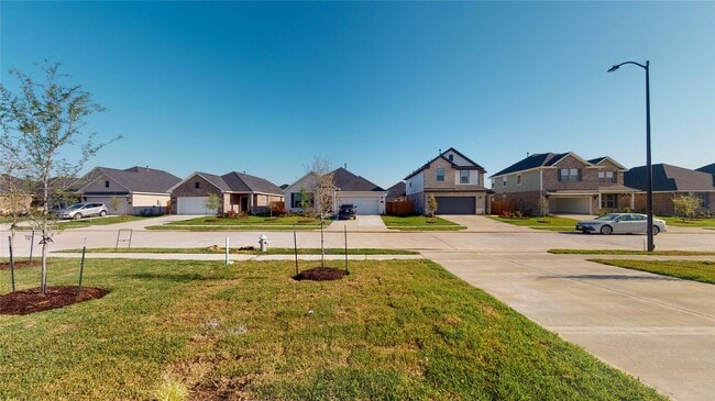 Building Photo - 31319 Black Frst Xing