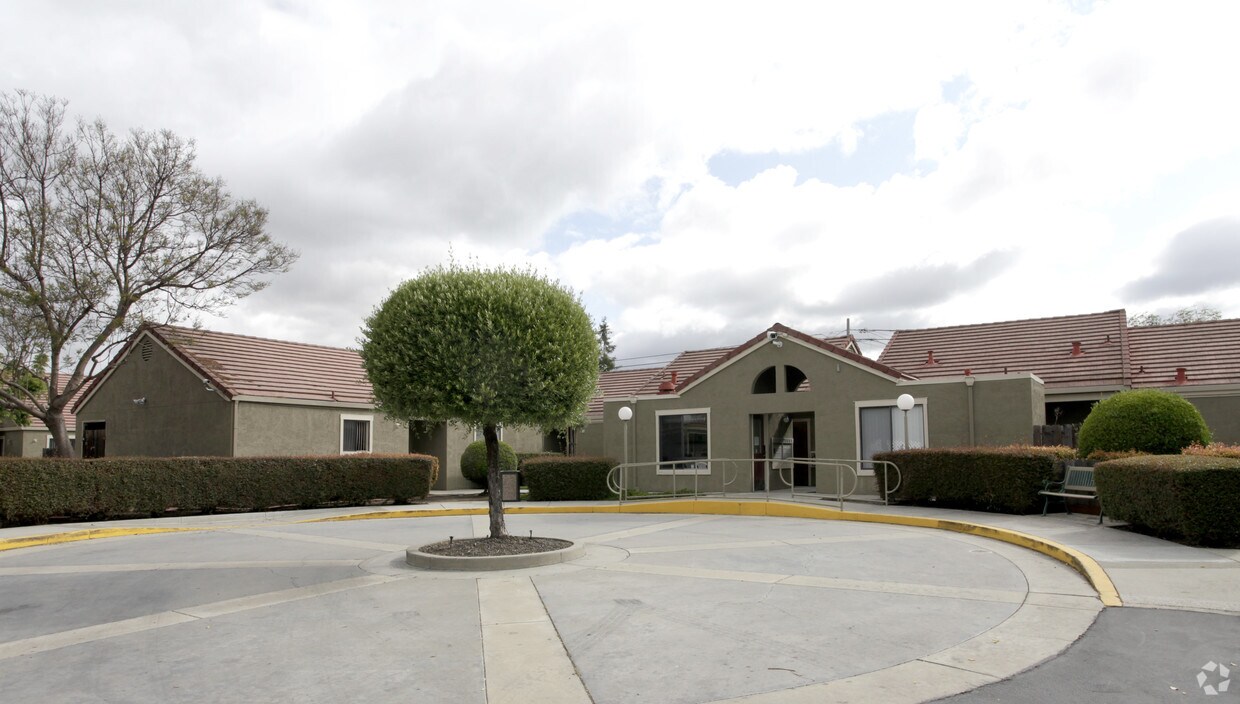 Building Photo - Olive Tree Plaza