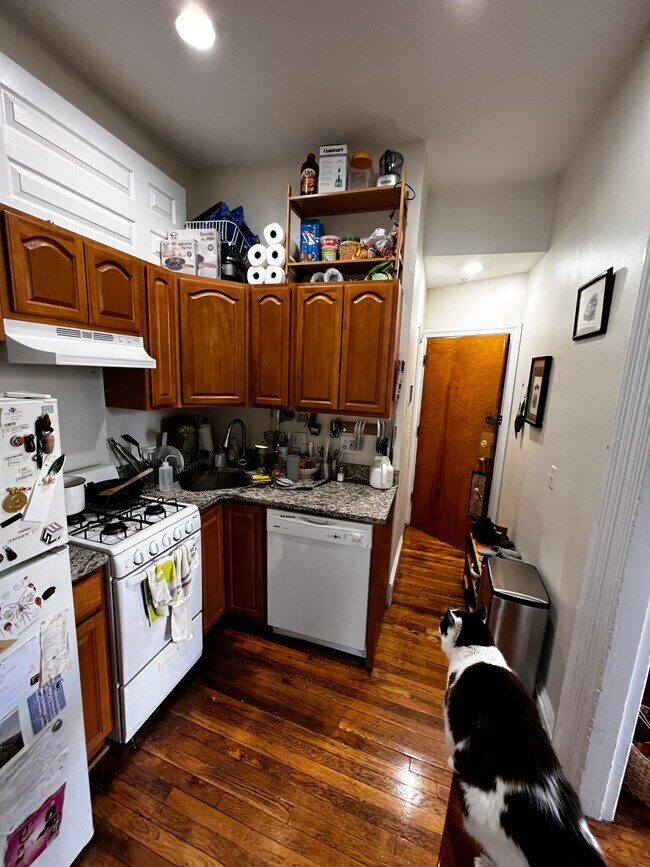 Building Photo - 242 Shawmut Ave