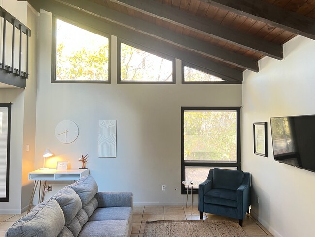 Living Room - 3647 Belmont Rd