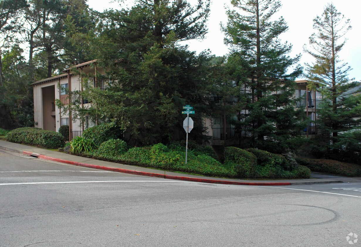 Primary Photo - Courtland Apartments