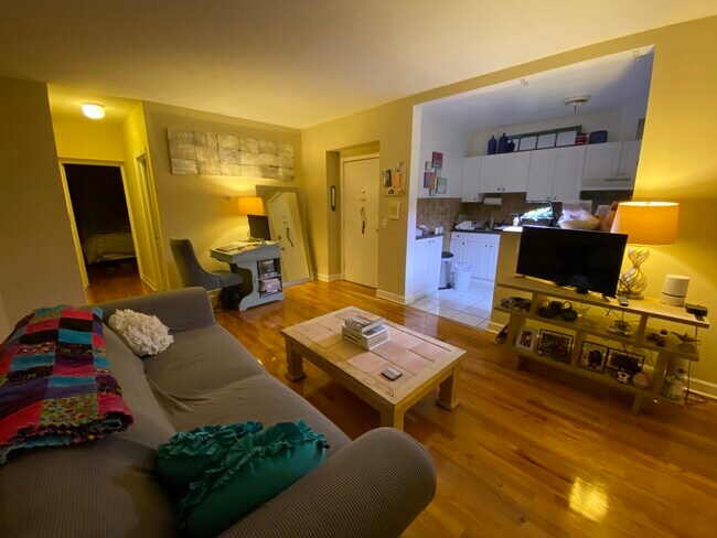 Living room - 1168 N La Salle Dr