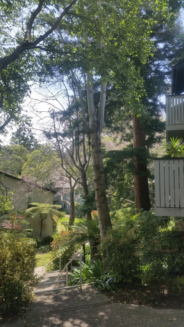 Foto del edificio - MOVE-IN READY! Peaceful 1-Bedroom Top Floo...