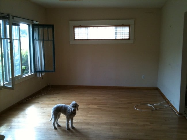 Pets are welcome! - 2501 Elsinore St