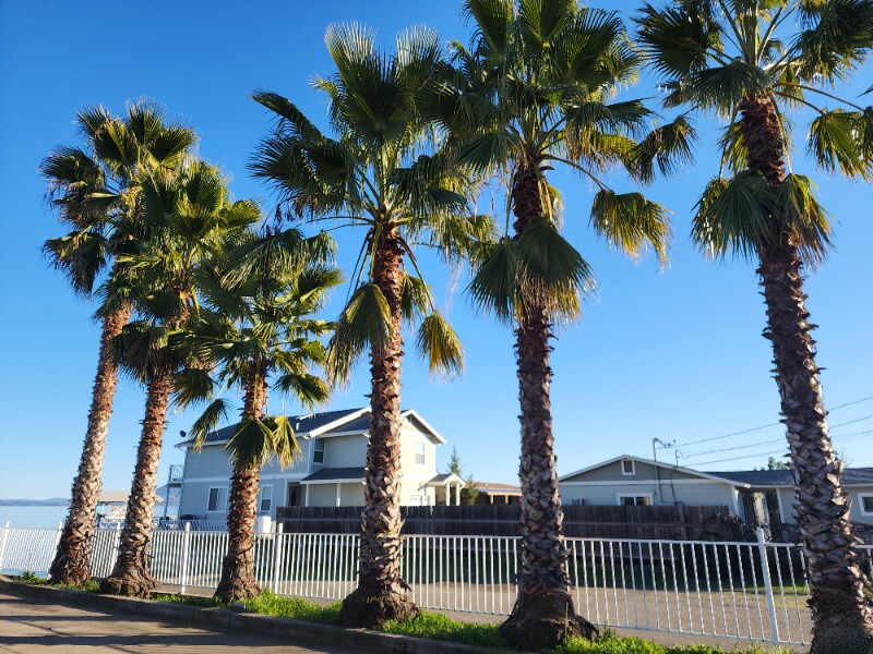 2802 Lakeshore Blvd Unit Room10, Lakeport, CA 95453 Room for Rent in Lakeport, CA