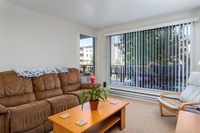 Foto del edificio - Just landing in the East Bay? Fully Furnished Resort 1 Bdrm. condo available on a short or long t...