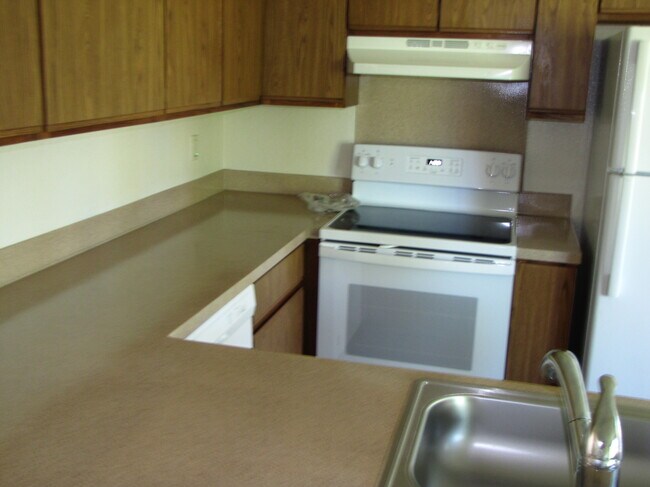 All new counters, Range & DW - 1073 Lybarger St SE